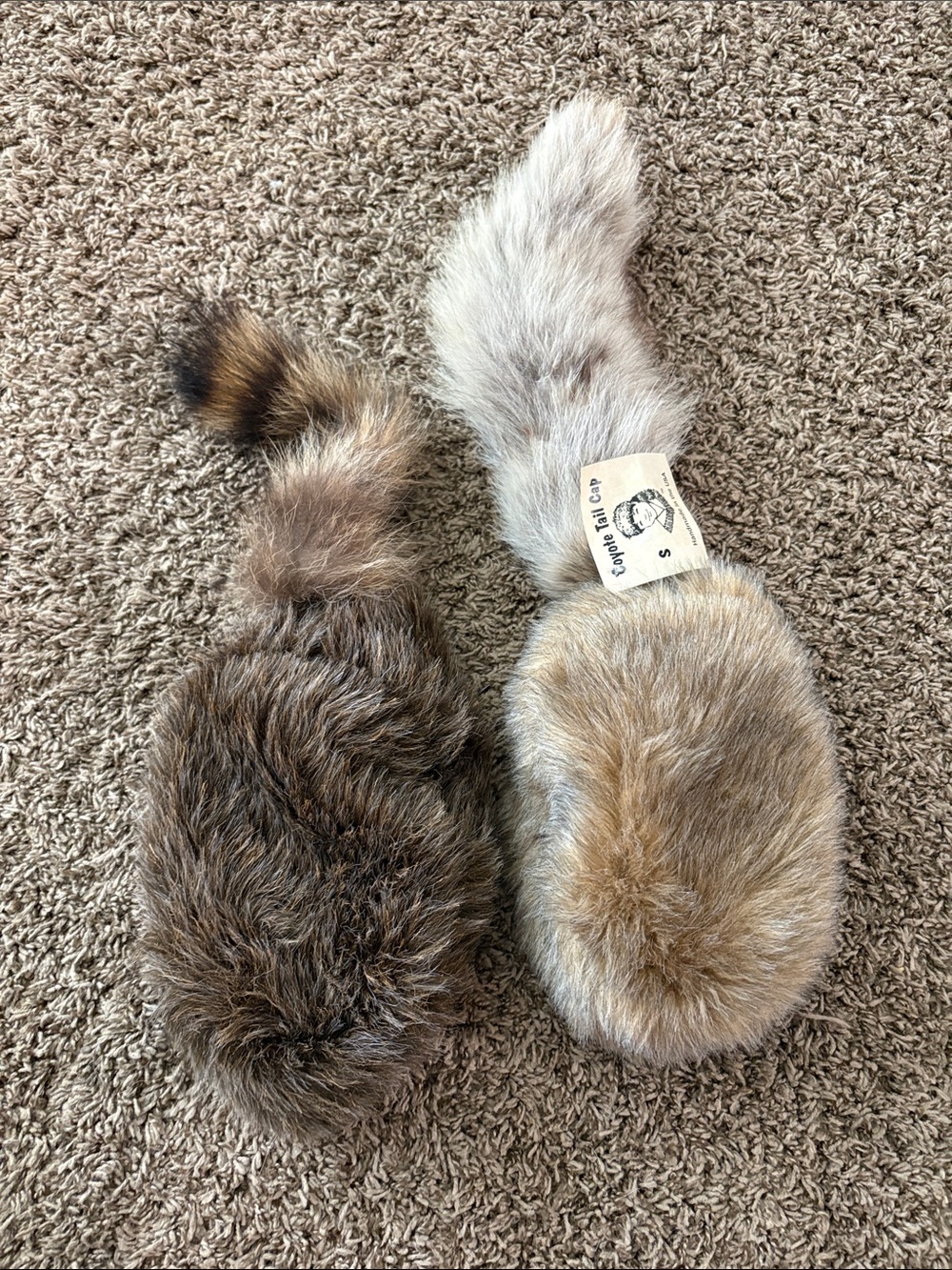 Coyote and raccoon hats.